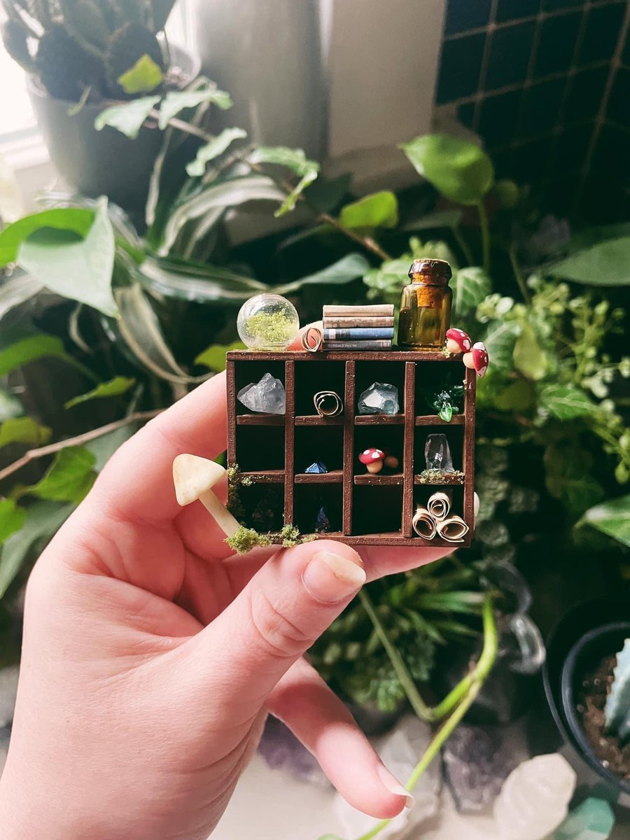 CaptDangerous64's tweet image. My miniature magic shelves ✨ Have a great Monday! #miniatures #dollhouse @thedailymini 

instagram.com/captaindangero…