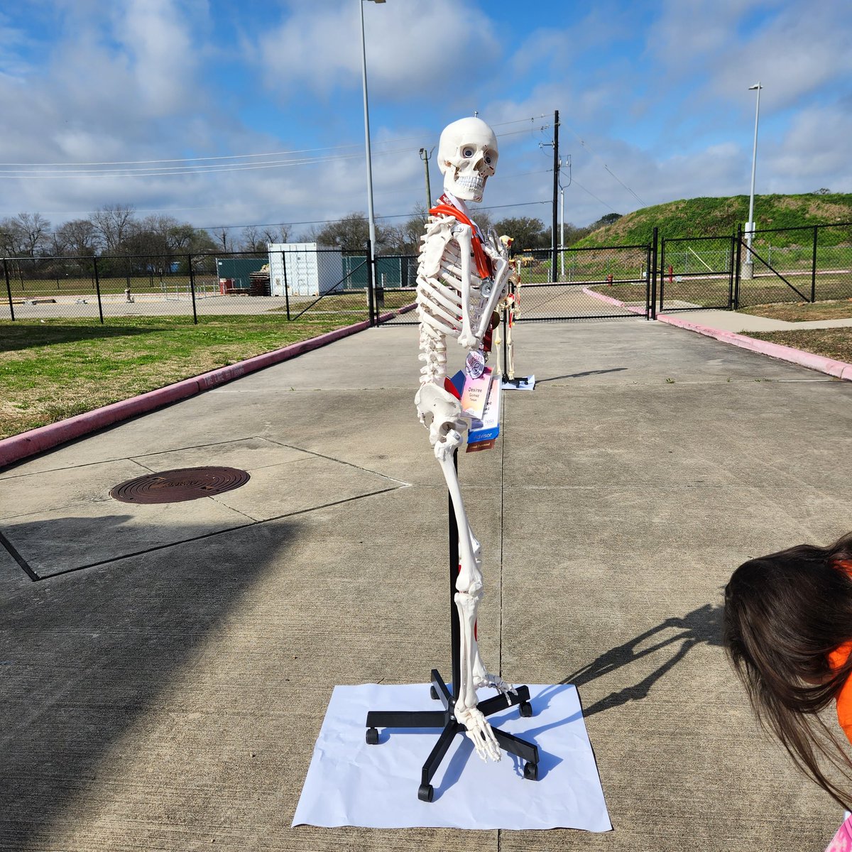 cruzmissy8's tweet image. Health Science is hitting it out of the park today at PD!
@CanalesC_CTE 

#PISDCTE
#PISDCTEMonth2023 #PISDCTEAllstars #CMA @PISDCareerTech