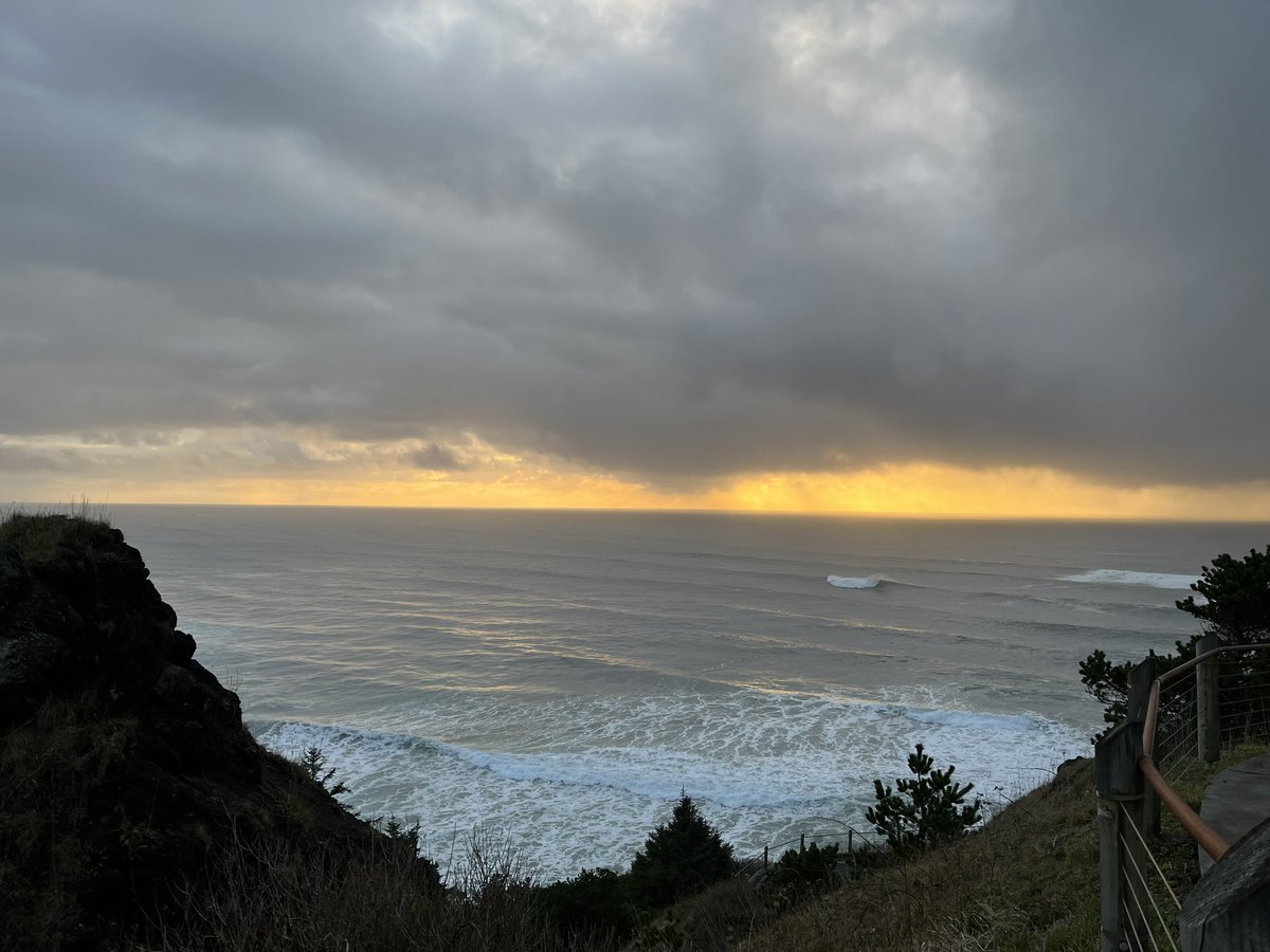Job opportunity on my team: lead #scientist for <a href="/ODFWMarine/">ODFWMarine</a> Reserves program deadline: 3/13/23 tinyurl.com/yc7jxyja  #ecology #research #interdisciplinary #teamwork #collaborations #OR #oregoncoast #newport #ODFW #mpa #marinescience #fieldwork #marinereserves
