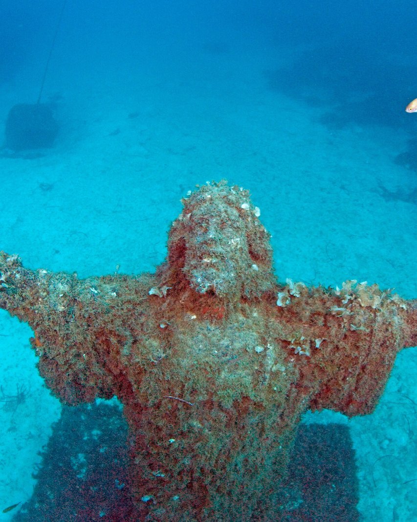 Si creías que ya lo sabías todo sobre Malta… ¡déjanos decirte que no encontrarás un lugar mejor para salir a descubrir el fondo marino! 🤿

El archipiélago es el destino perfecto durante todo el año para todos aquellos amantes del buceo🐠

¡Te encantará! 💙