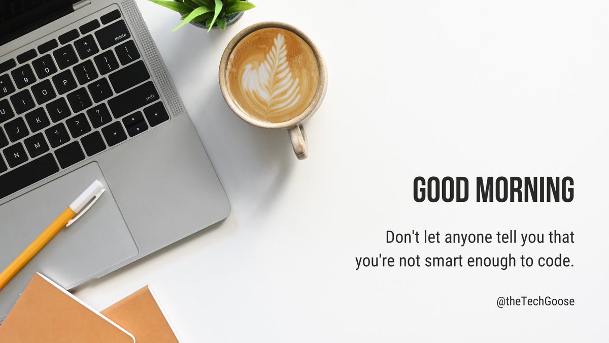 TheTechGoose's tweet image. 