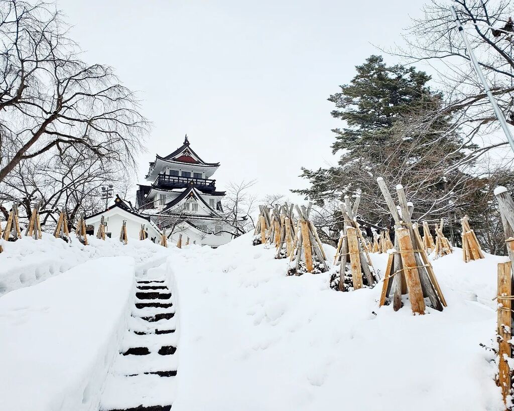 bumblingtourist's tweet photo. 🇯🇵 Yokote was the most picture perfect place.
Follow our adventures at https://t.co/TPKxhoFGQY .
.
.
#bumblesyo #youtube #travel #tokyo #japan #asakusa #winter #temple #youtubetravel #travelgram #instatravel #tokyojapan #winterjapan #traveljapan #tou… https://t.co/xzL7xIG2Vj https://t.co/ZvQDYF5Wu2