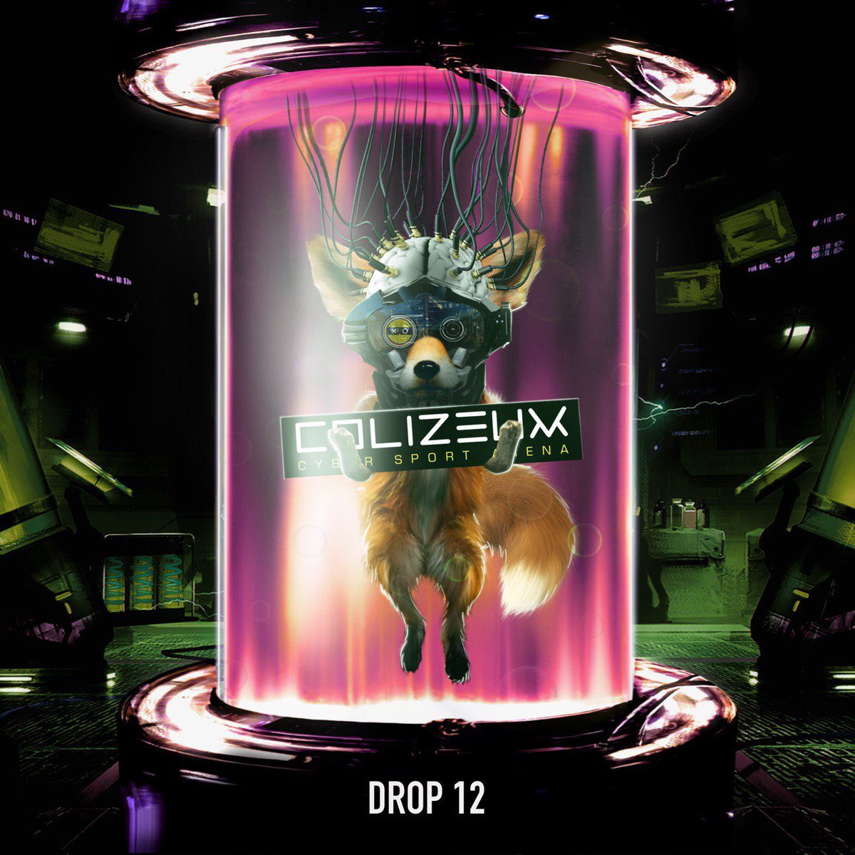 BuildersMeta's tweet image. Hello, friends. 

The WL mint of the 12th drop has started and will last 42 hours. 

The cost of the WL mint including the 30% discount is 21 SOL. 

Let's go 🚀