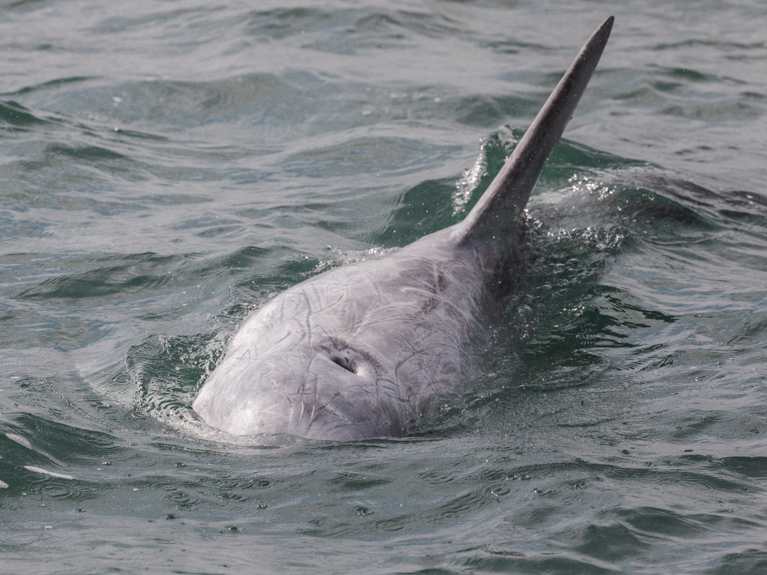 Daniel Alford tweet media