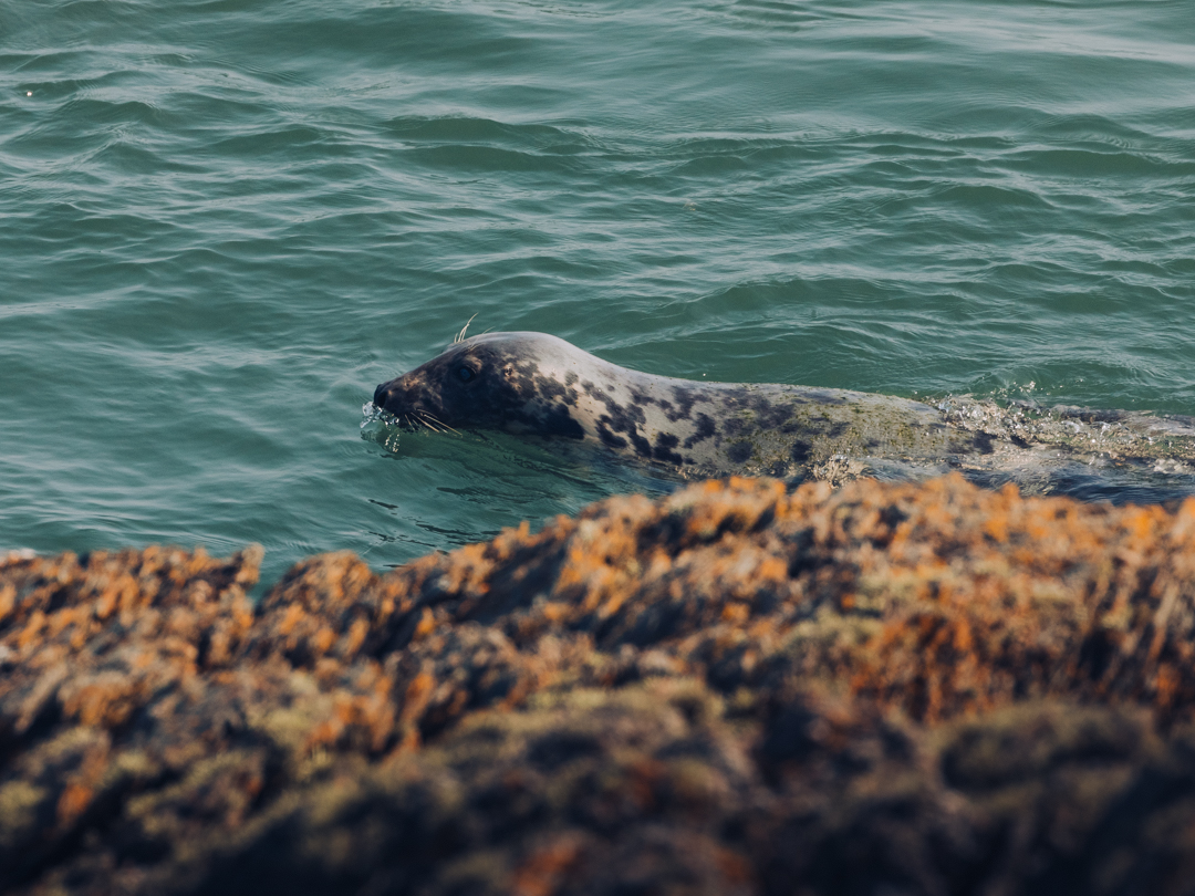 Daniel Alford tweet media