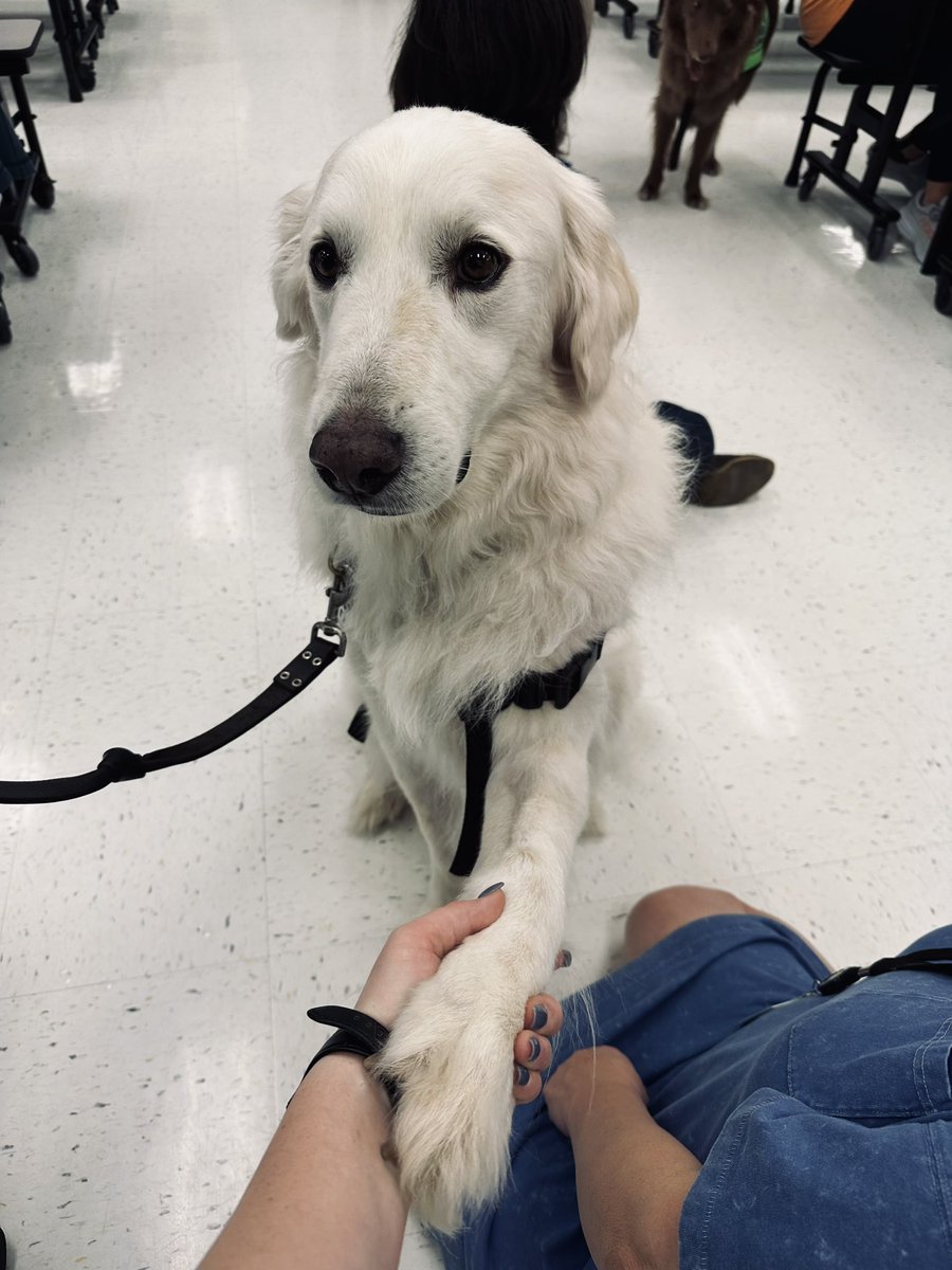 kimberray100's tweet photo. Puppy Day @ LWE 🐶🐾 https://t.co/ULAamuNZeY