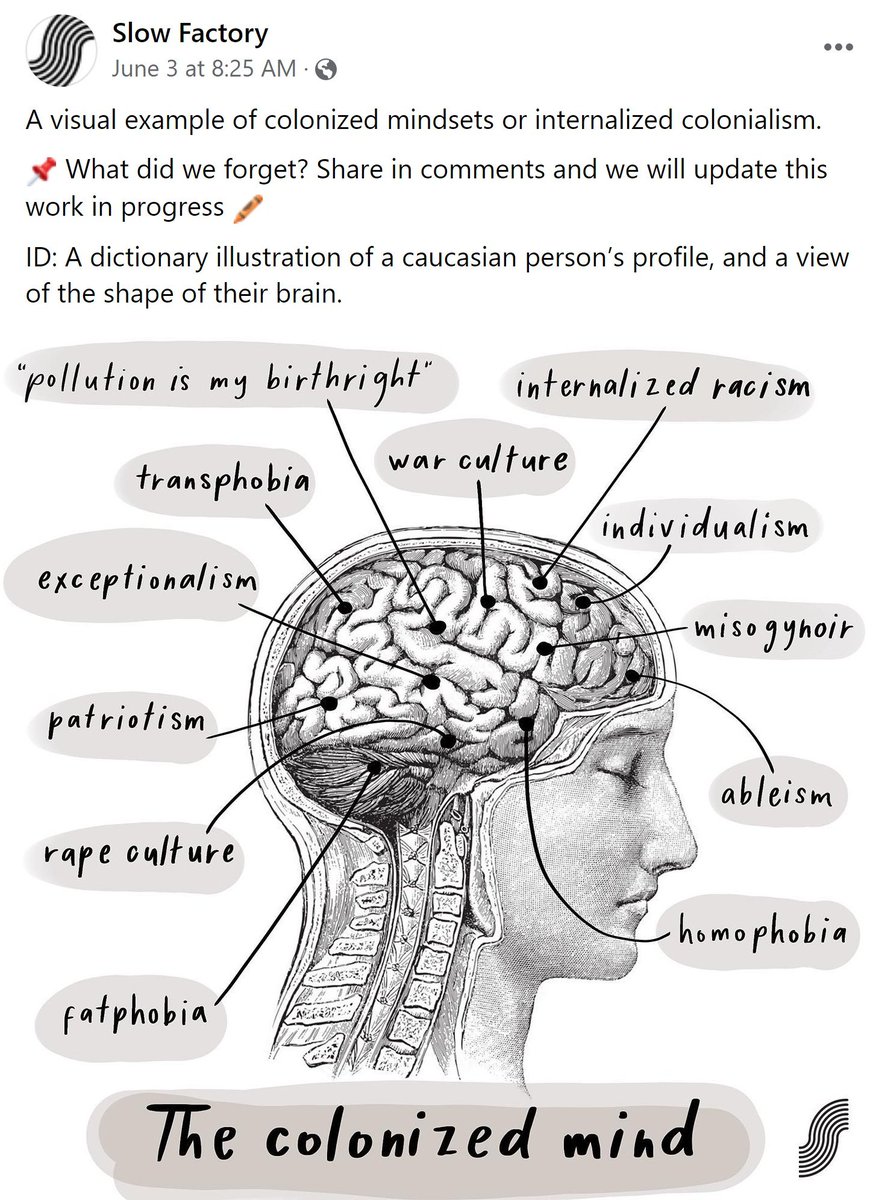 Woke Ouroboros tweet media