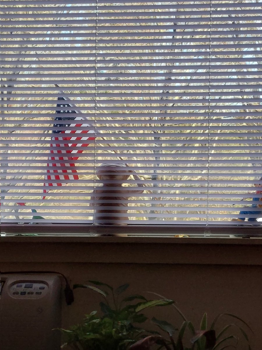 @JtShaggy @irene_heinz Taken from my recliner. That's E.T. holding our flag in my window. The only time he's not there with our flag is during the Christmas holidays bc of decorations.