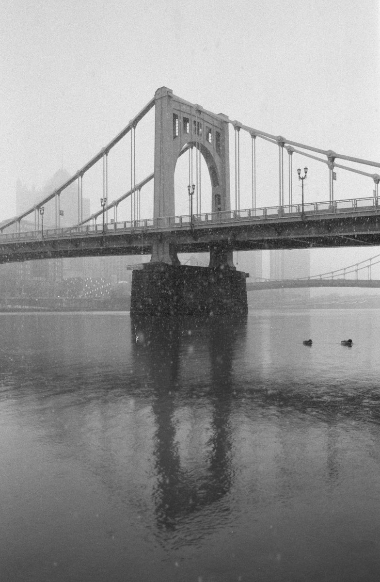DaveDiCello's tweet photo. Another 35mm film image of #Pittsburgh today. I captured this during one of the few snowy days we've have so far this year. It's a view of the Andy Warhol Bridge reflecting in the Allegheny, complete with a couple ducks in the frame as well.

Nikon FG + 50mm lens
Kodak 400TX film https://t.co/YvlH1LfD39