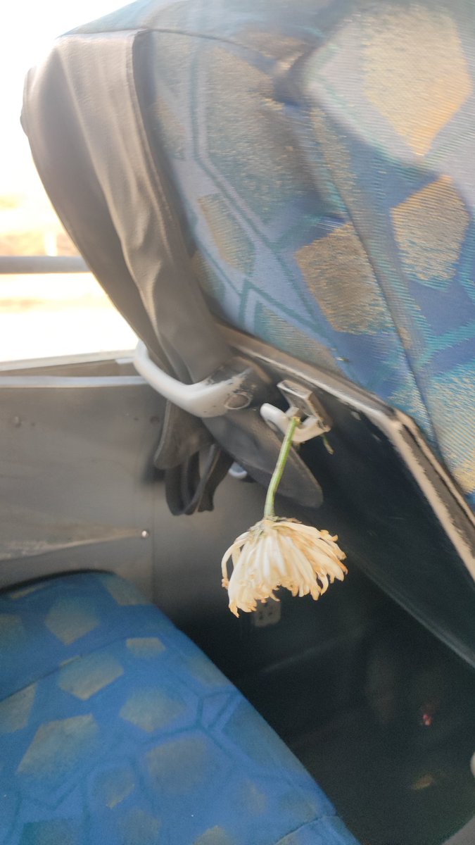 marwariboymansa's tweet photo. Very poor experience in Rajsthan Roadways 
Fare is high
Bus's condition is the worst. https://t.co/DFIU7wmNGi