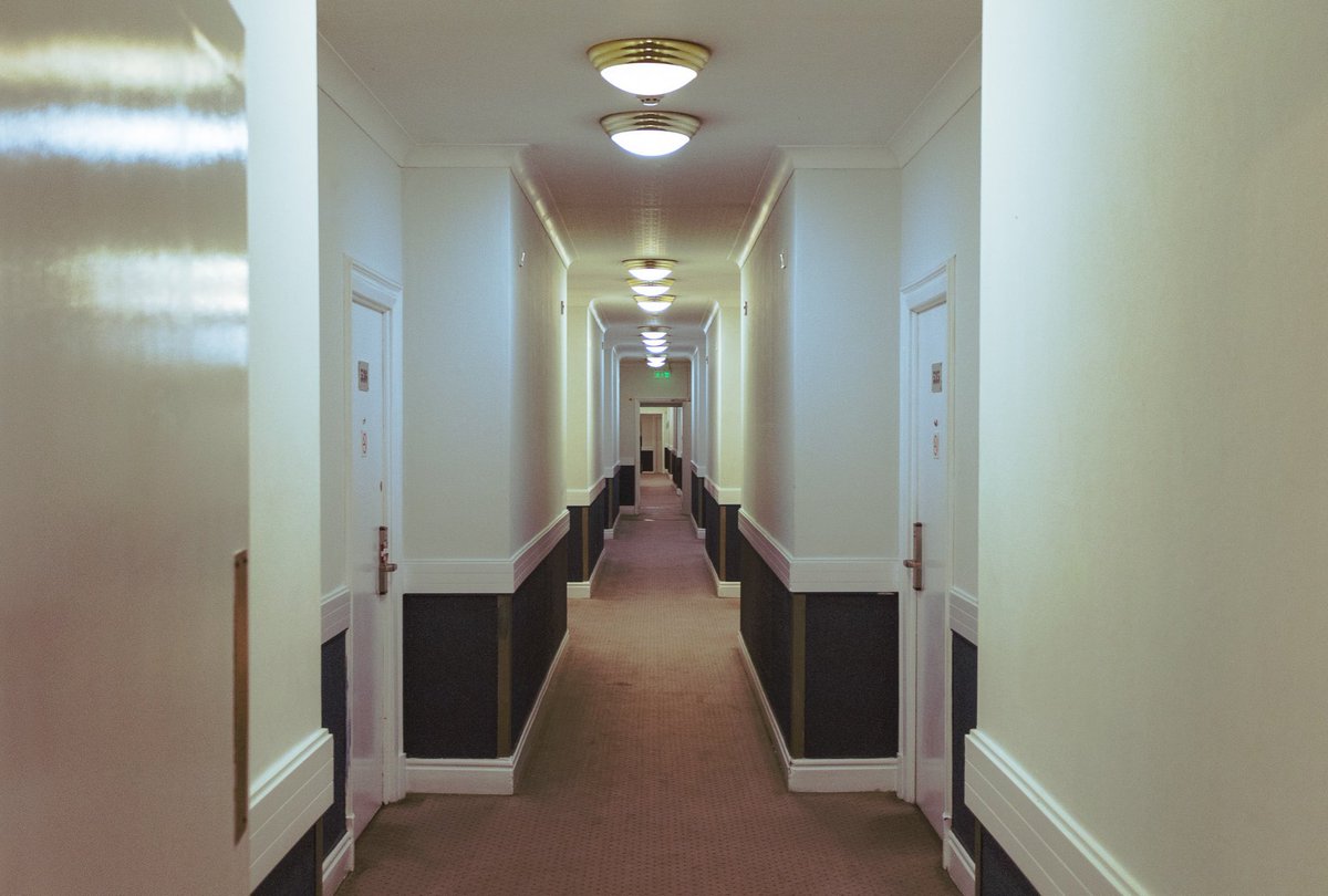 MindWanders🫀 tweet media