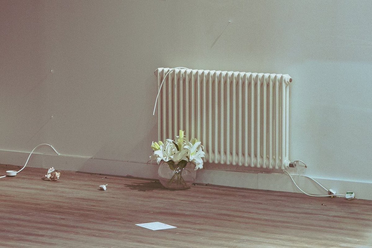 MindWanders🫀 tweet media