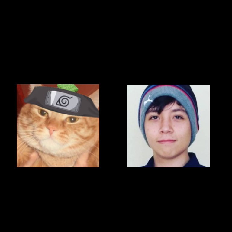rubiuhfernet's tweet photo. If you are             please play: https://t.co/cFWEVTDL4g