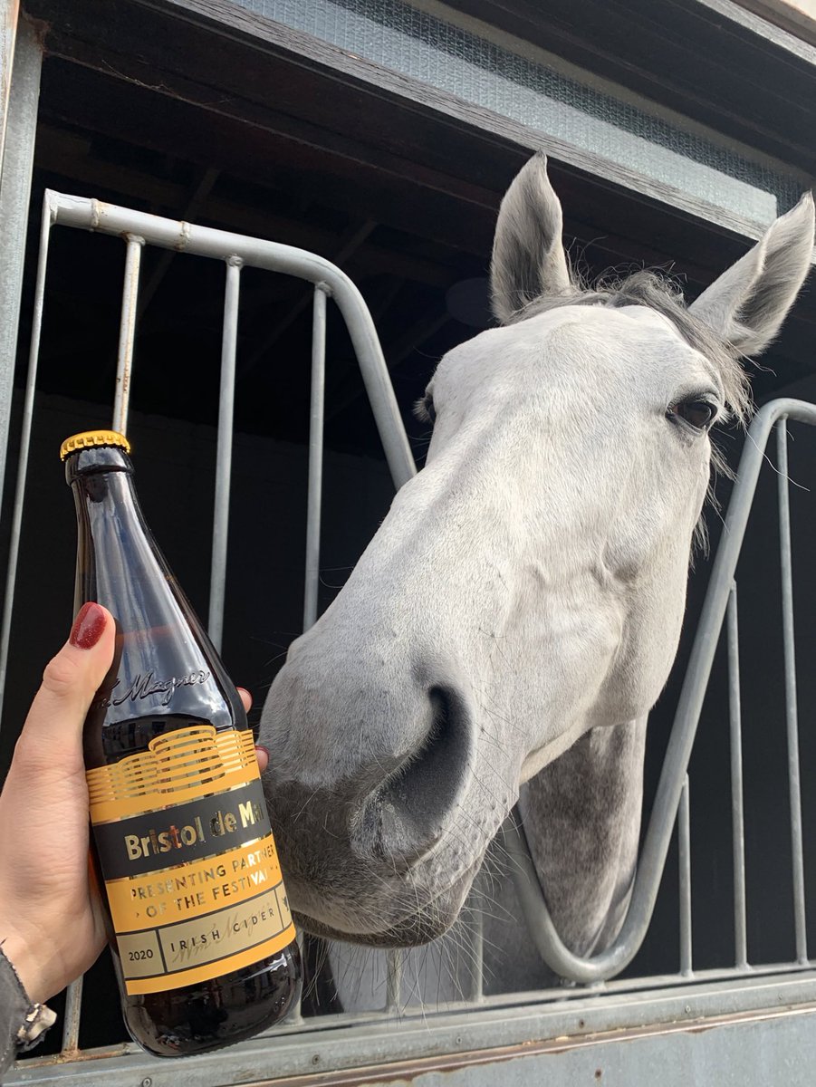 FrankiePullar's tweet photo. Happy retirement bud… you can have that cider now!! One horse that made so many people happy. #goodboy #bristoldemai https://t.co/1MhMmnsa6X