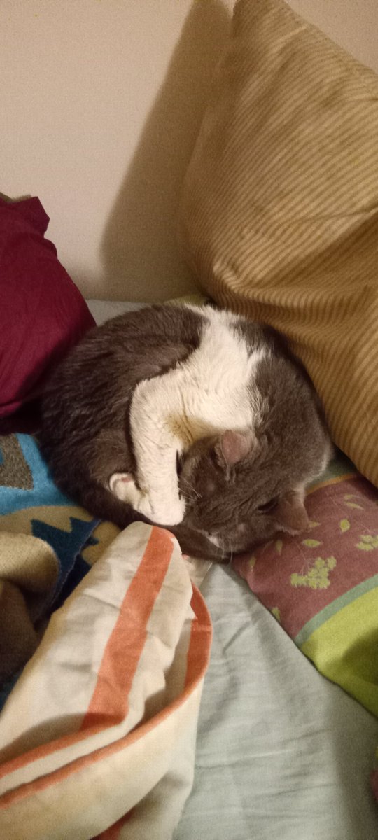 Quinoto out of context (@quinotochan) on Twitter photo 