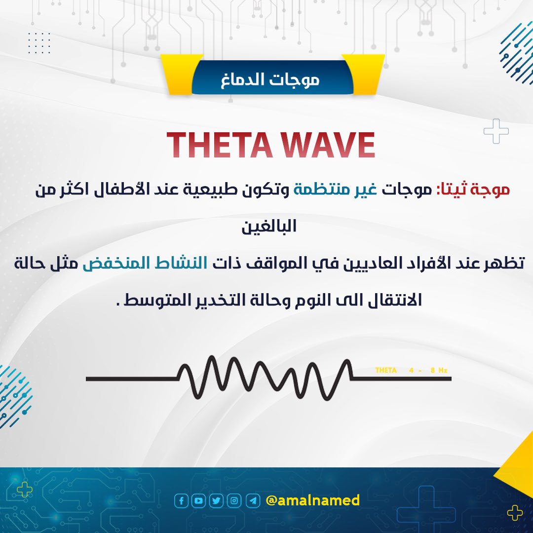 amalnamed's tweet photo. موجات الدماغ 🧠 الجزء الثاني https://t.co/MRGRhRI5oy