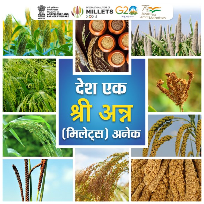 DRM PRAYAGRAJ, NCR on Twitter "Millets are glutenfree, costeffective
