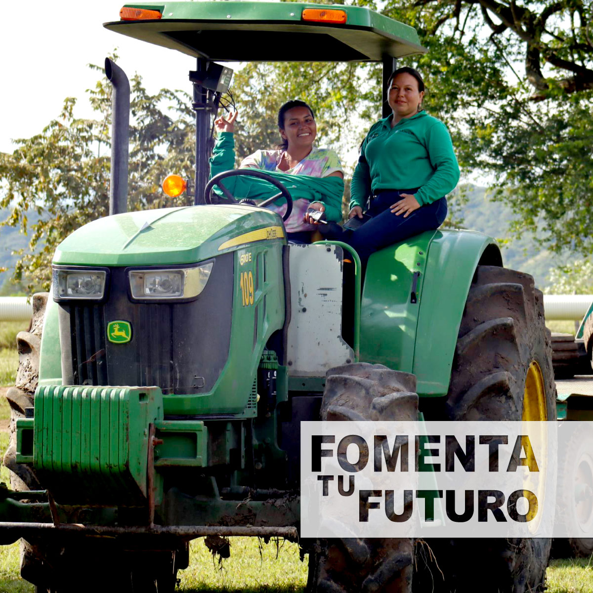 FundaFomenta's tweet photo. ✨¡Impulsa tu vida profesional con Fomenta!

Encuentra cursos virtuales certificados en maquinaria agrícola y estudia a tu ritmo y disposición.
Comunícate al 📱WhatsApp 3105660789 y solicita asesoría para inscripción.

#Elerning #FundaciónFomenta #Colombia  #Educación #Maquina https://t.co/pKLbgmo7Wz