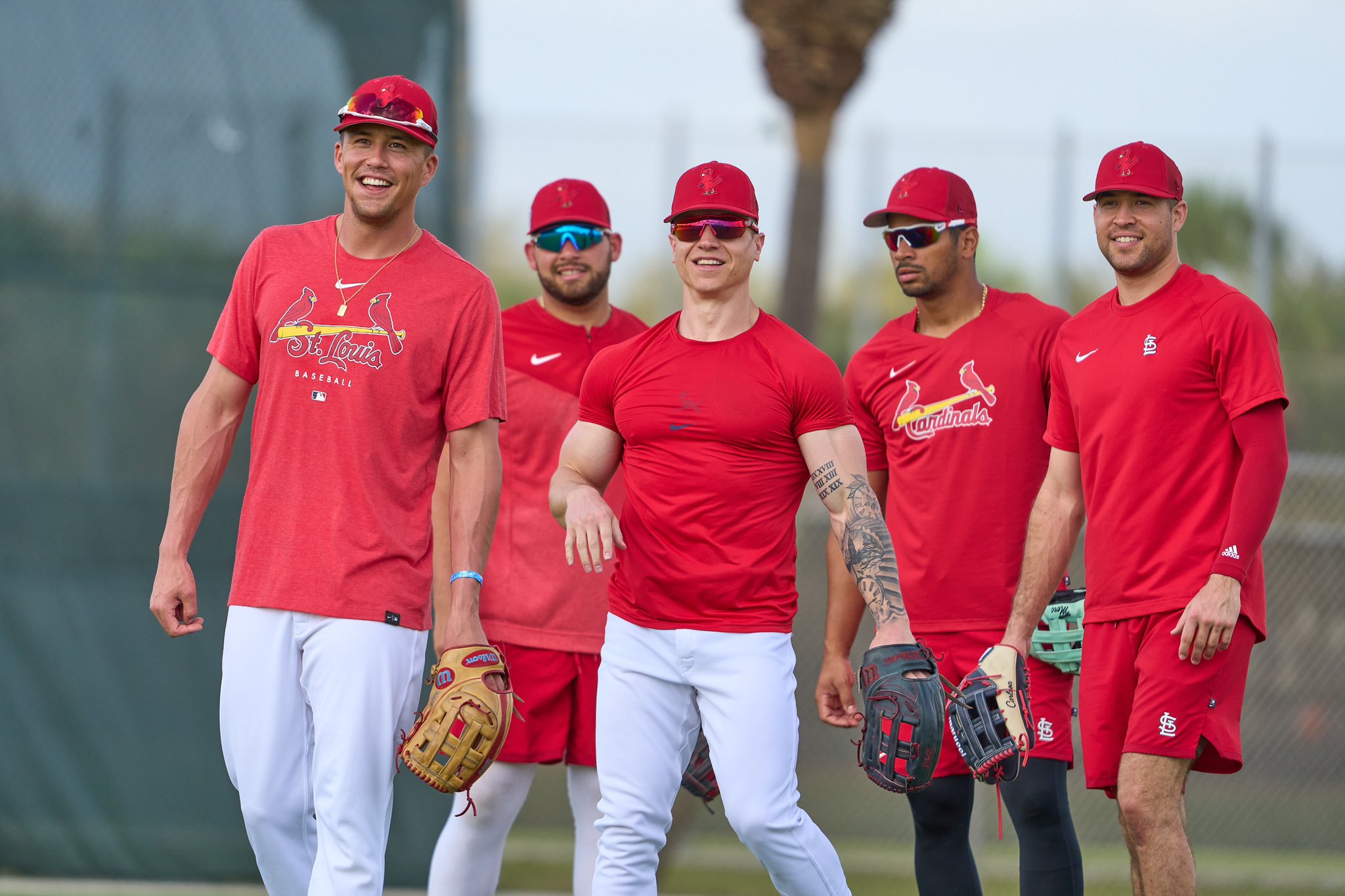 St. Louis Cardinals on X: Hangin' out(field). 🤙