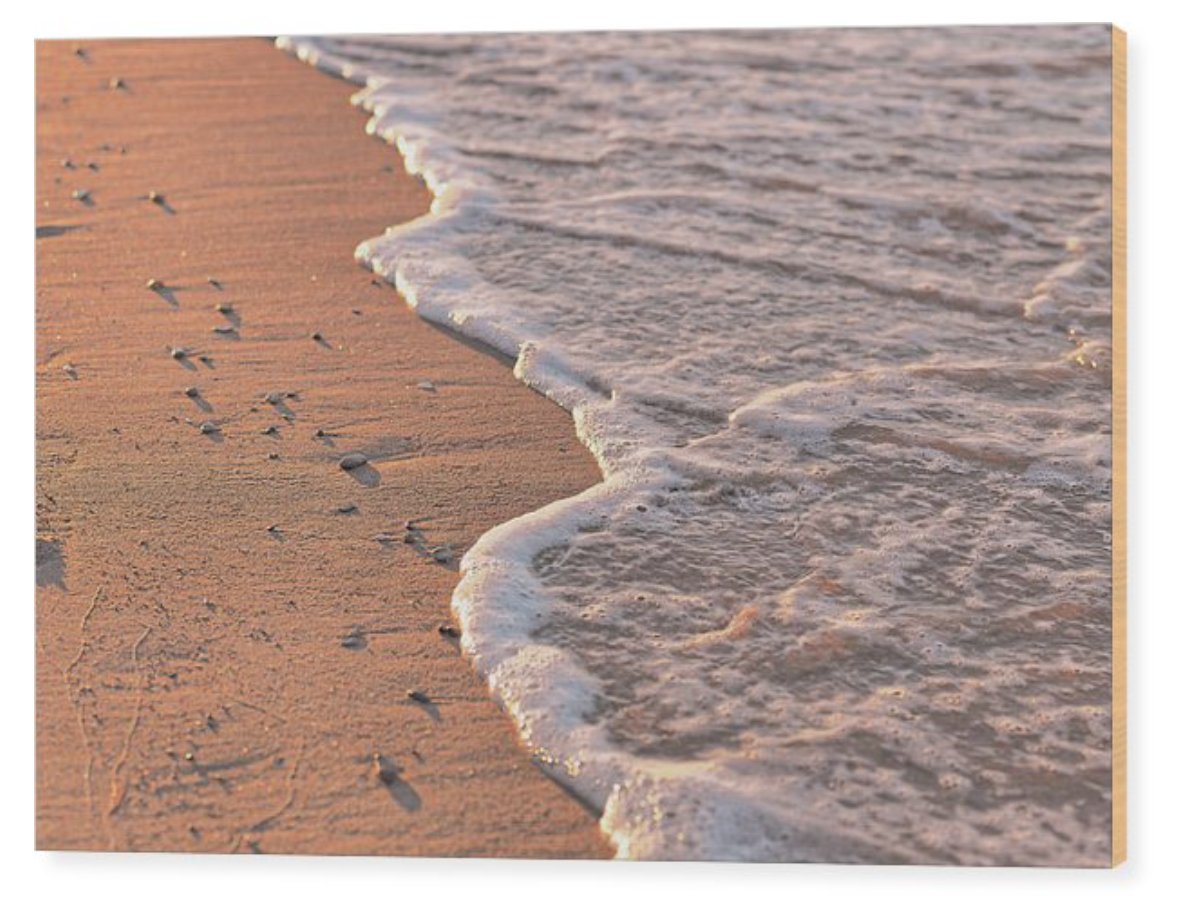 calice gallery tweet media