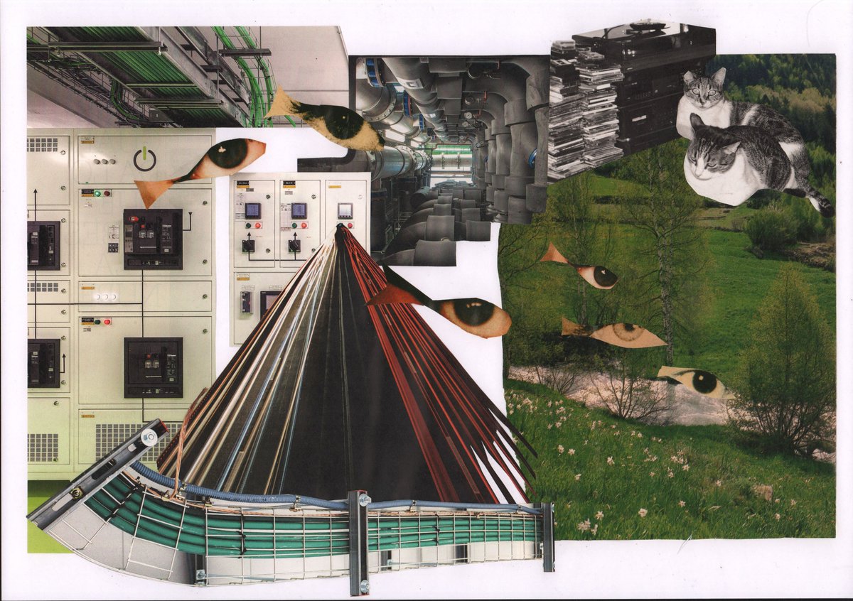 silly little collage :3