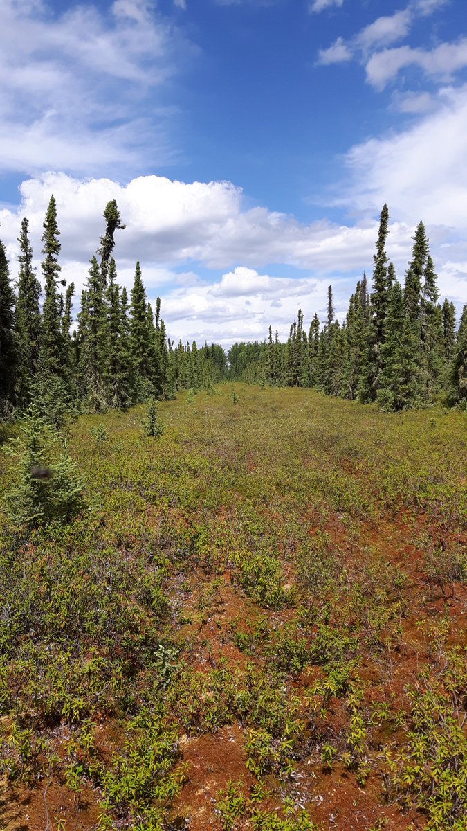 Michael Norton tweet media