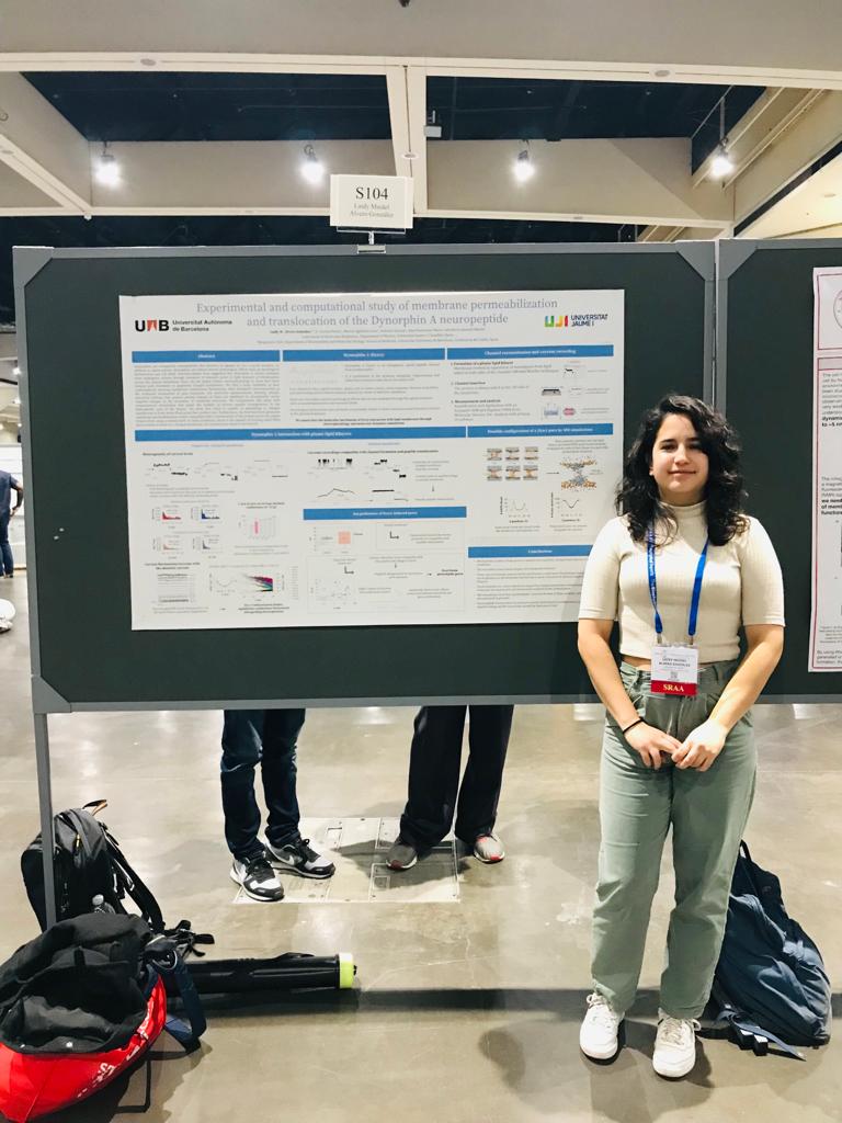 Poster presentations of Vicente Aguilella and Laidy Alvero in the Biophysical Society Meeting in San Diego #BPS2023 <a href="/BiophysicalSoc/">Biophysical Society</a> <a href="/UJIuniversitat/">Universitat Jaume I</a>