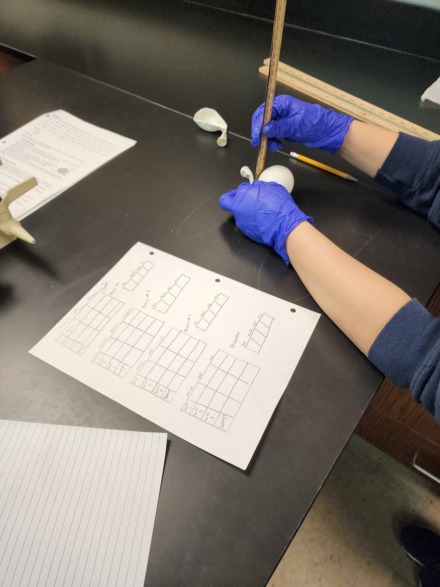 FortCalhounSci's tweet photo. Physiology students welcomed guests into our class today.  We measured tidal volume, expiration reserve volume, and vital capability using balloons.  Time to crunch some numbers and make sense of our data! https://t.co/uPgHRXlDjl