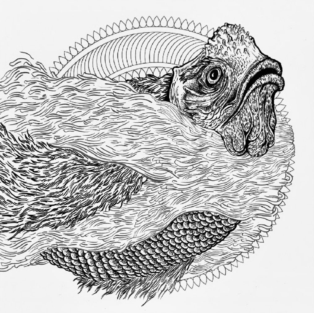 Cem Kalsen (@cem_kalsen) on Twitter photo 