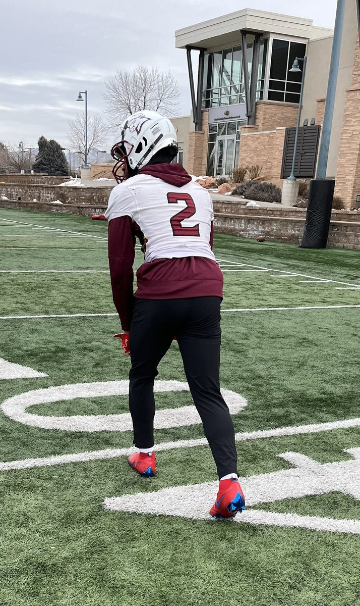 Colorado Mesa Football tweet media