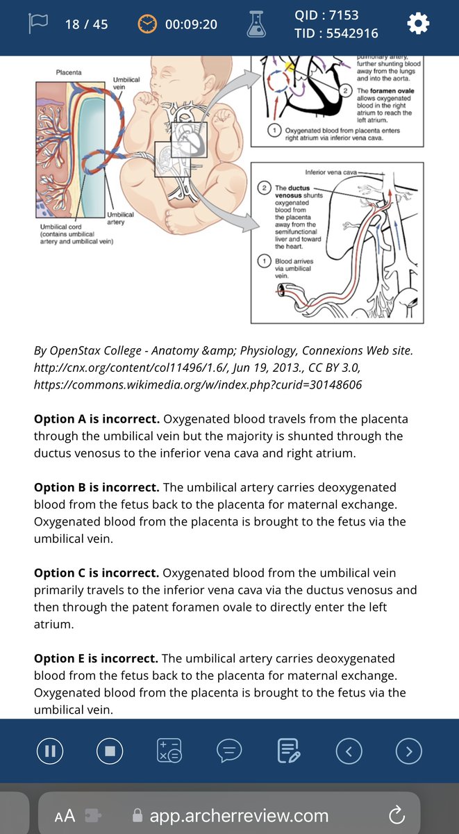 Archer USMLE Review tweet media