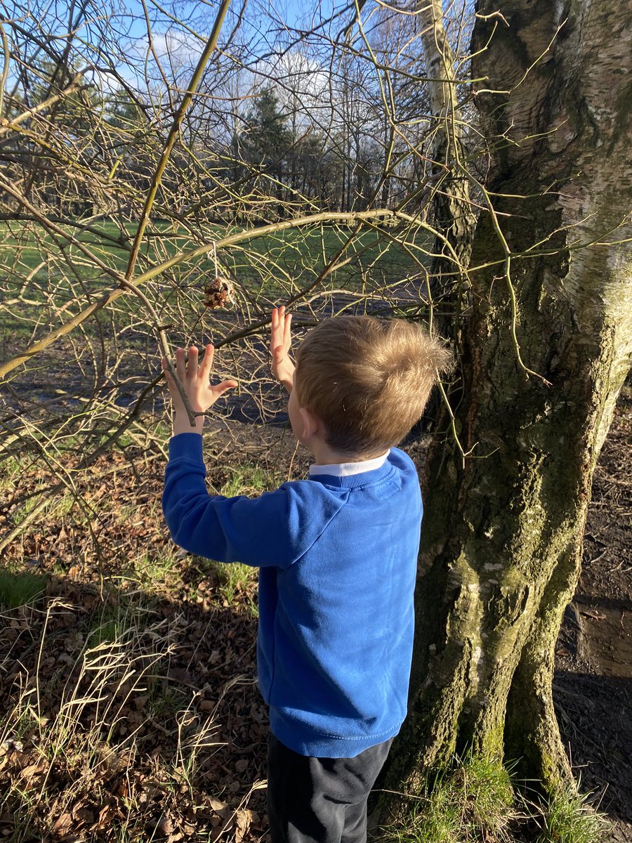 MissThomsonVPS's tweet photo. Pupils chose places in the playground to hang their bird feeders. We are hoping that they will bring lots of feathered visitors to the playground! 🐦🐦🐦 @MrsKellyVPS #VPSwrite #RSPBWildChallenge https://t.co/jxaFpRNyzb