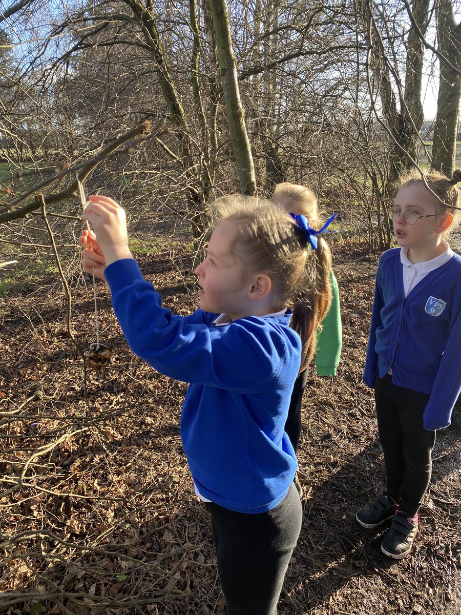 MissThomsonVPS's tweet photo. Pupils chose places in the playground to hang their bird feeders. We are hoping that they will bring lots of feathered visitors to the playground! 🐦🐦🐦 @MrsKellyVPS #VPSwrite #RSPBWildChallenge https://t.co/jxaFpRNyzb