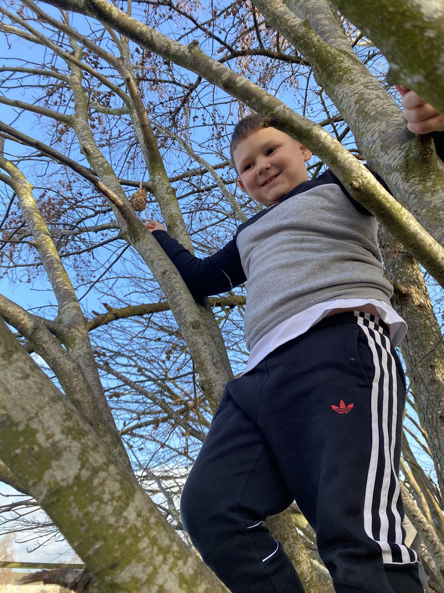 MissThomsonVPS's tweet photo. Pupils chose places in the playground to hang their bird feeders. We are hoping that they will bring lots of feathered visitors to the playground! 🐦🐦🐦 @MrsKellyVPS #VPSwrite #RSPBWildChallenge https://t.co/UZrEY279BA