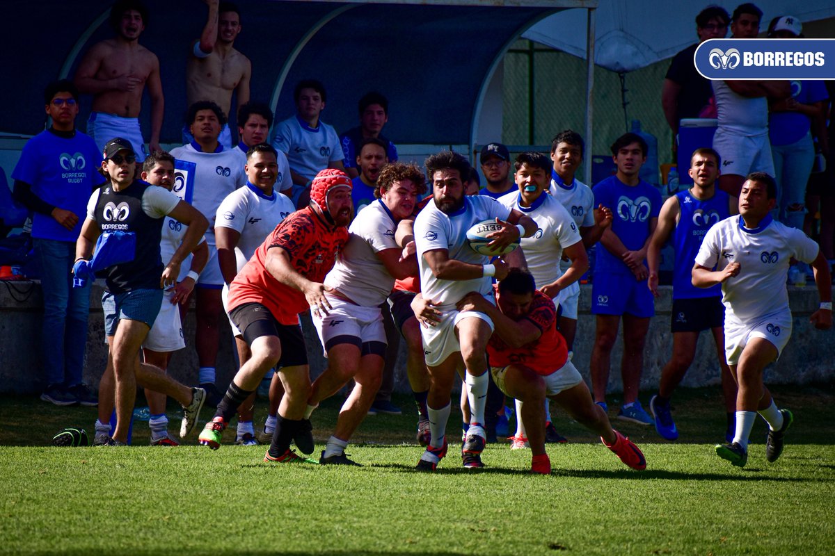 BorregosPuebla's tweet photo. ATTACK &amp; ATTITUDE 💙🏉

#ATPLV #BorregosPuebla https://t.co/vCDFEGDXp1