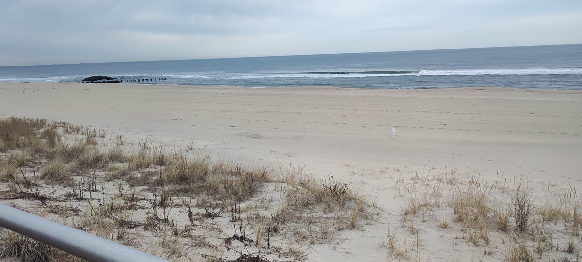 Laura Petillo, Ed.D. tweet media