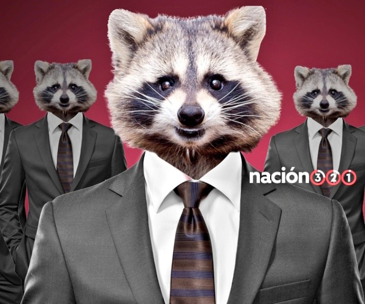 Gustavo5555's tweet photo. @DoctorFarola Primero Dios deapues el Lic. Mapache https://t.co/iXSuZQGvfC