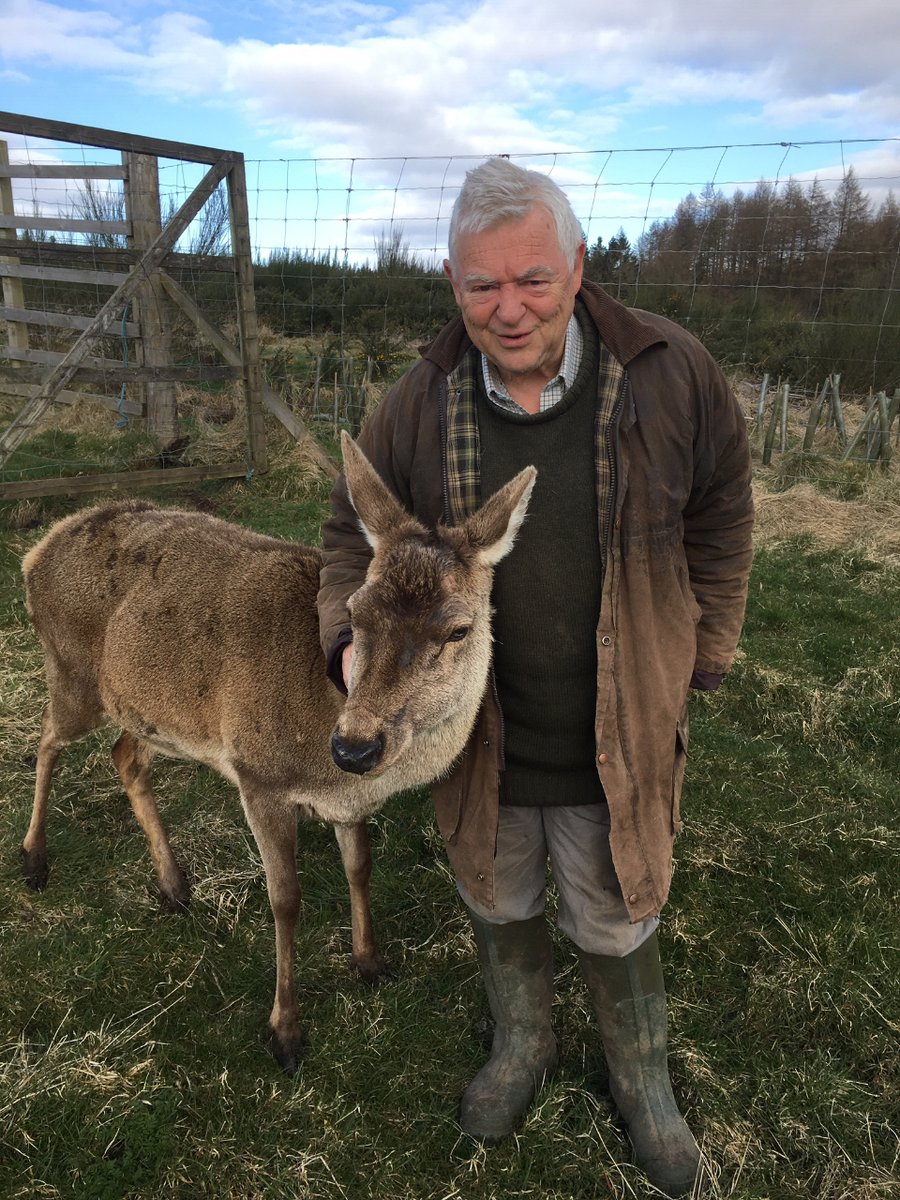 It’s #LoveYourPetDay so we thought we would share the amazing story of Thistle - living to the grand old age of 28 she did more than just graze…darwintreeoflife.org/news_item/this… 🦌 #DeerFarming