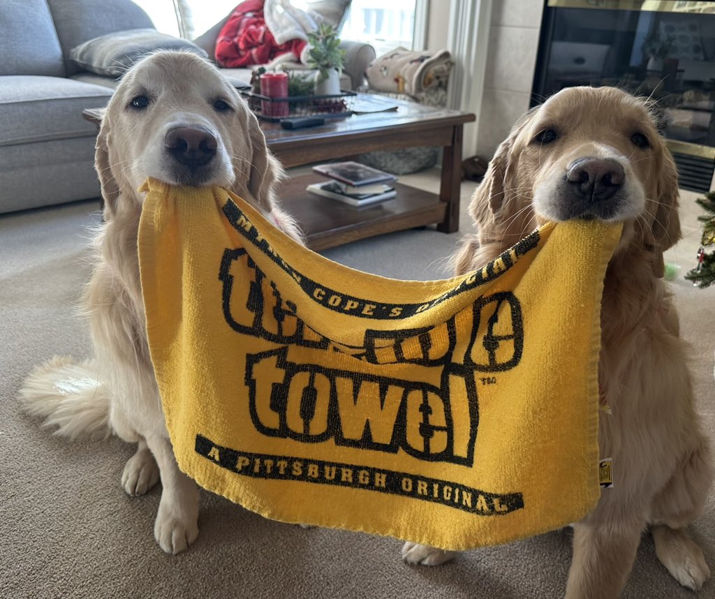 cbonecutter5's tweet photo. Happy #NationalLoveYourPetDay from my #SteelersPets 💛🖤 @SteelersUnite https://t.co/2aVhacDcwv