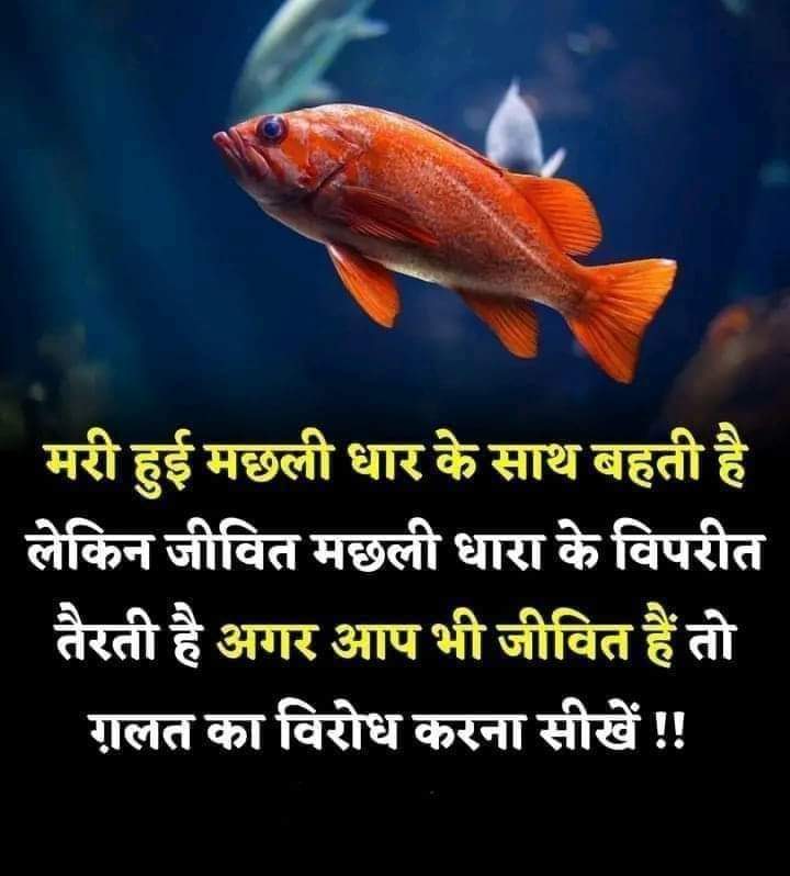 Satyakirti Rane (@satykeerti_rane) on Twitter photo 
