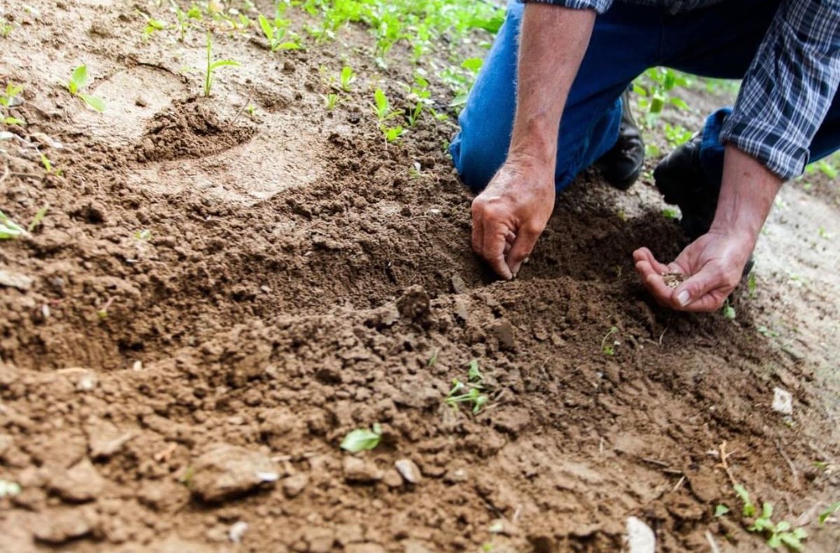 Sustainability is the expectation among consumers now, so make sure you're doing all you can to stay in the game. Start planting as you print with PrintReleaf. hubs.li/Q01z-6yB0