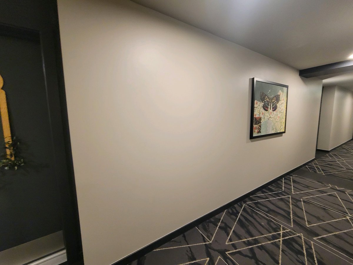 PRC_PrepRite's tweet photo. Tis the season for interiors.@PRC_PrepRite is making your hallways look their best in anticipation of the warmer months. #PRC #preprite #preprite303 #prepritecoatings #doingwhatwelove #interiors #contractor #smallbusiness #life https://t.co/sRciBHjK7Z