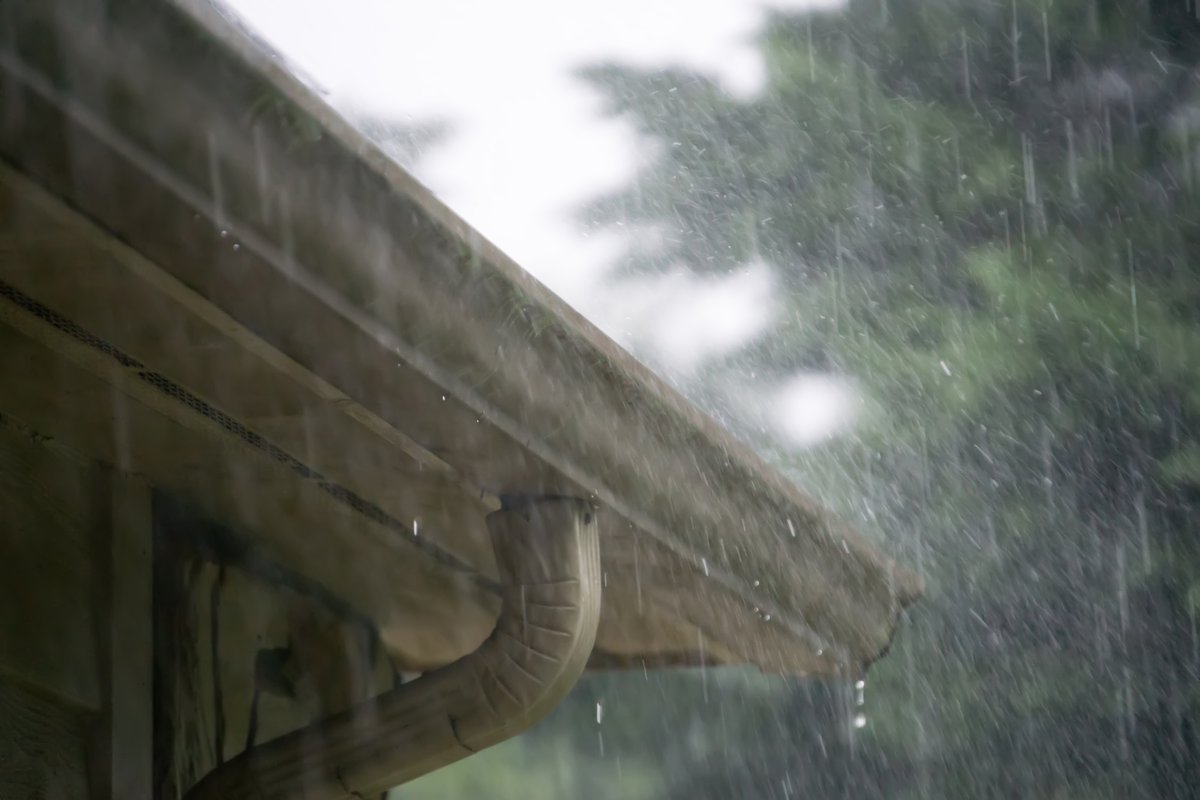 RigginsPainting's tweet photo. Are the elements causing your home to show some wear and tear? We’ll help you find the best house painting service to make repairs to your home’s exterior.

https://t.co/BCvbLYy9DA https://t.co/AktYPSGXVN