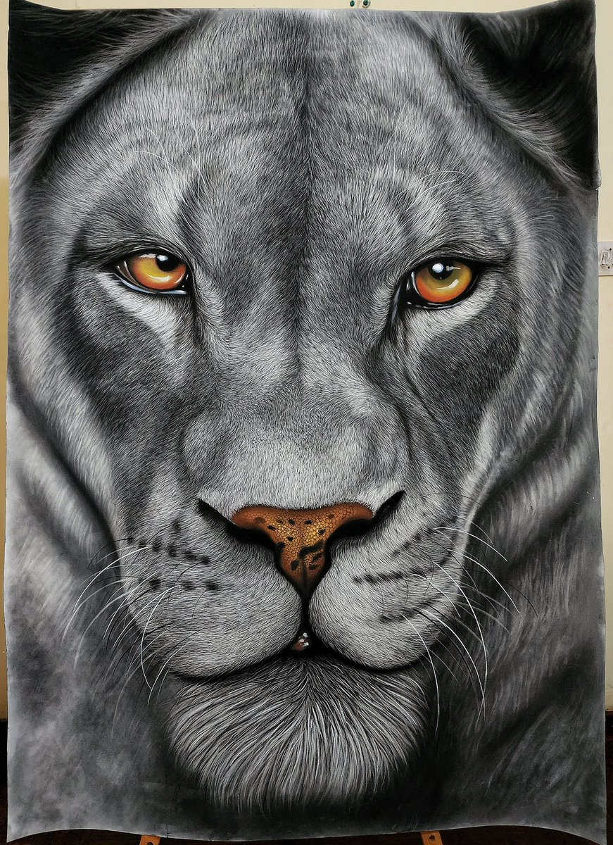 keithndlovu1's tweet photo. The Lioness 🦁
I think I'm addicted to drawing lions 😍 
Tag a shumba!
#art
#Artists #painting #lioness #beautiful https://t.co/FuuZisTtd6