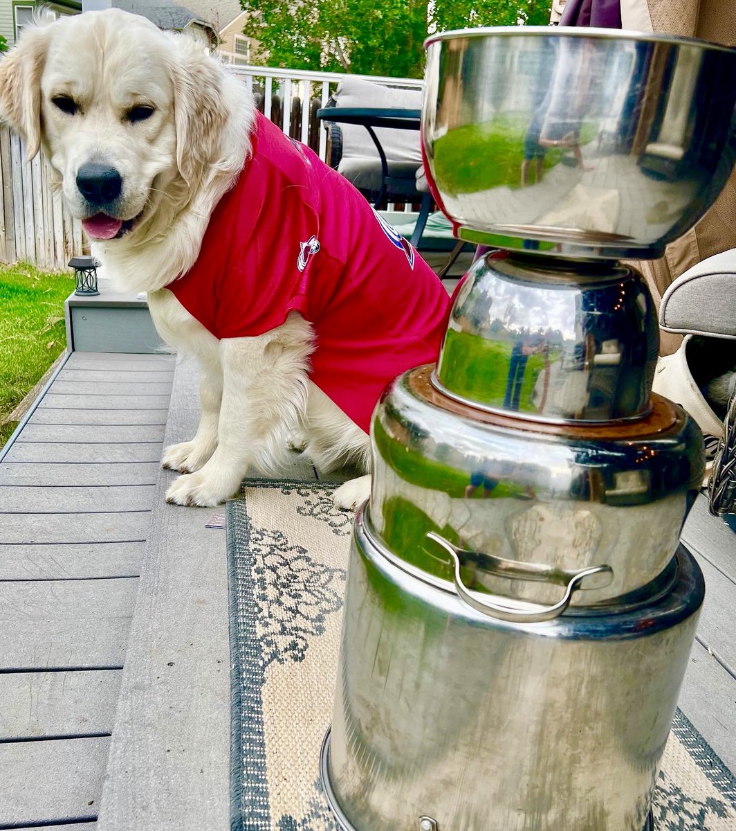 AnneHanson1917's tweet photo. @uchealth @Avalanche Deke Toedrag is his official name! https://t.co/MQu8jbS4as