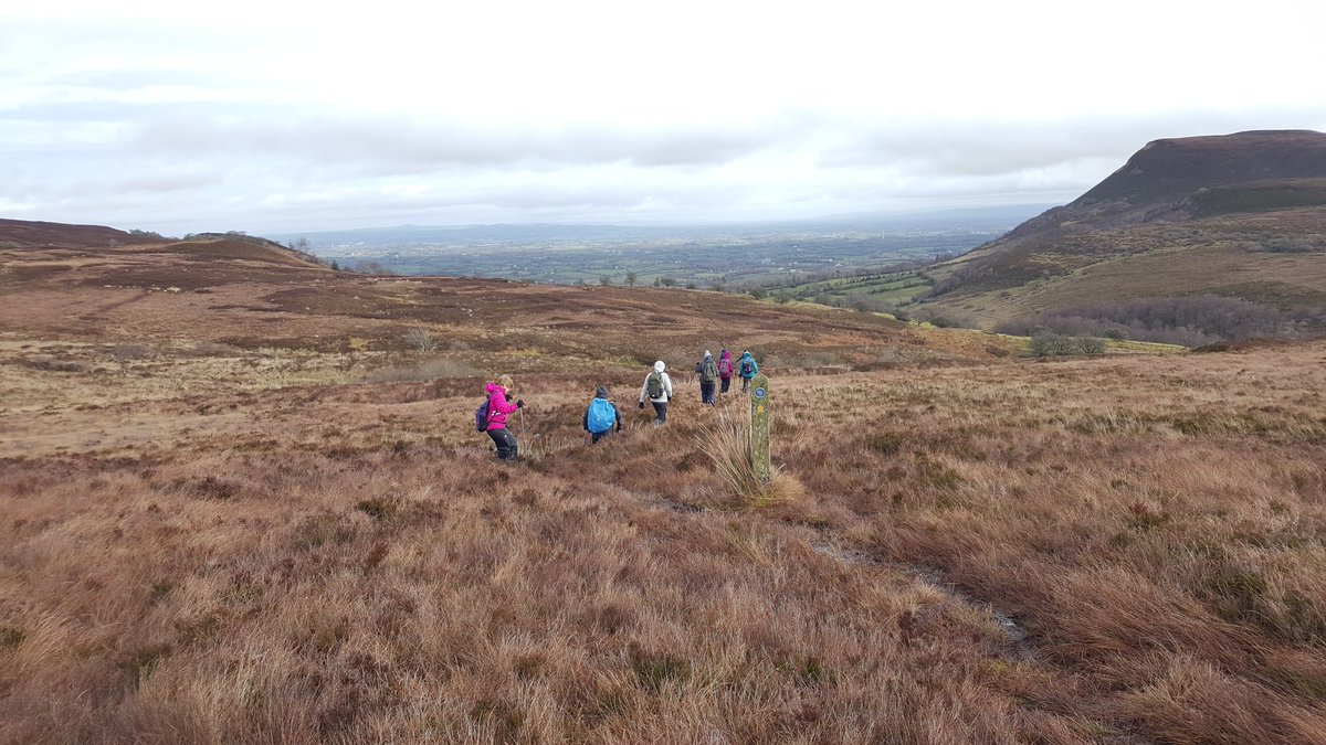 Fermanagh Ramblers tweet media
