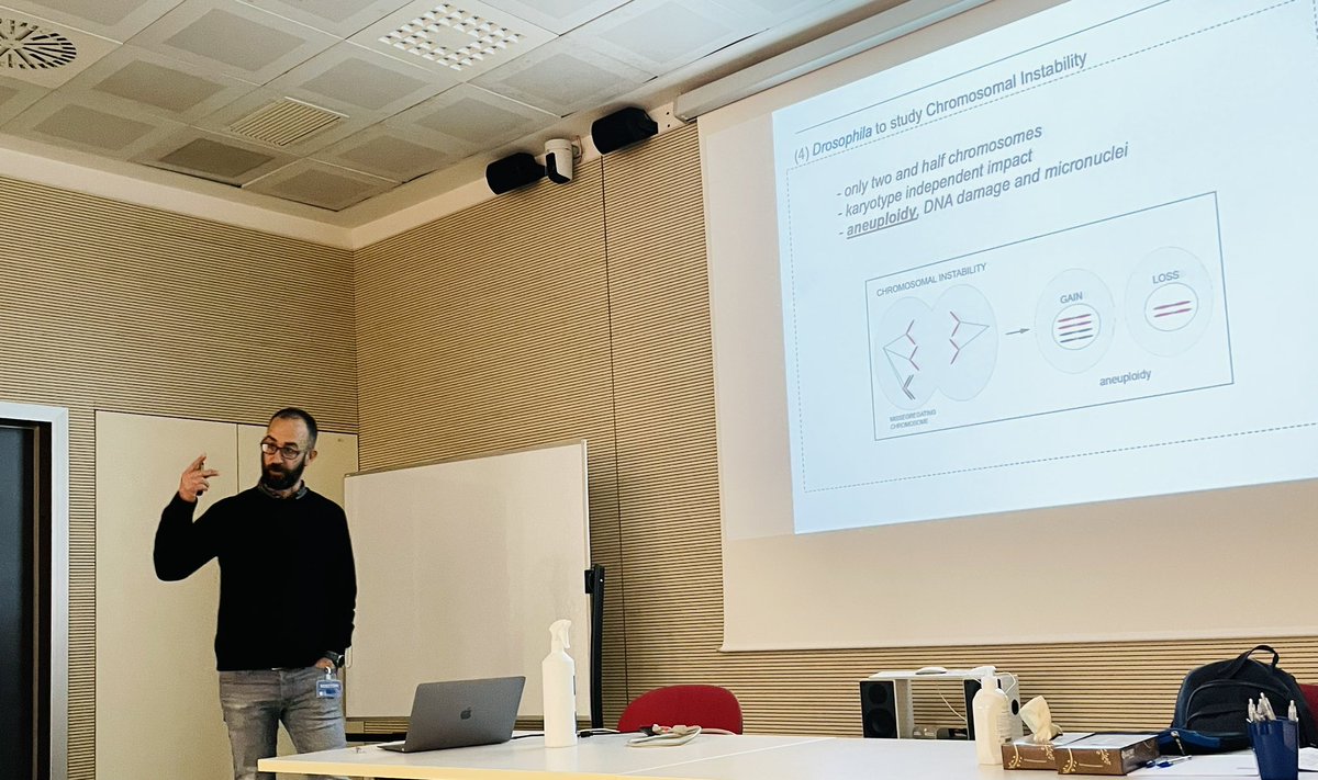 SteSantaguida's tweet photo. Super proud of my student Sonia defending her PhD today!!! 🎉🎉🎉Fantastic talk and insightful data. Thanks also to @MarcoMilanIRB for being her examiner and for giving a great seminar. https://t.co/C2F4whlCVw