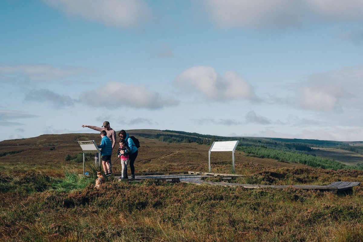 visitoffaly's tweet photo. The Slieve Blooms, along with the Massif Central in France, are the oldest mountains in Europe. Unspoilt & uncongested, they offer something for everyone!
Info https://t.co/XM2AKEZYY1
#VisitOffaly #SlieveBloomMountains #irelandshiddenheartlands @TourismIreland https://t.co/Ja8SR2J9bg