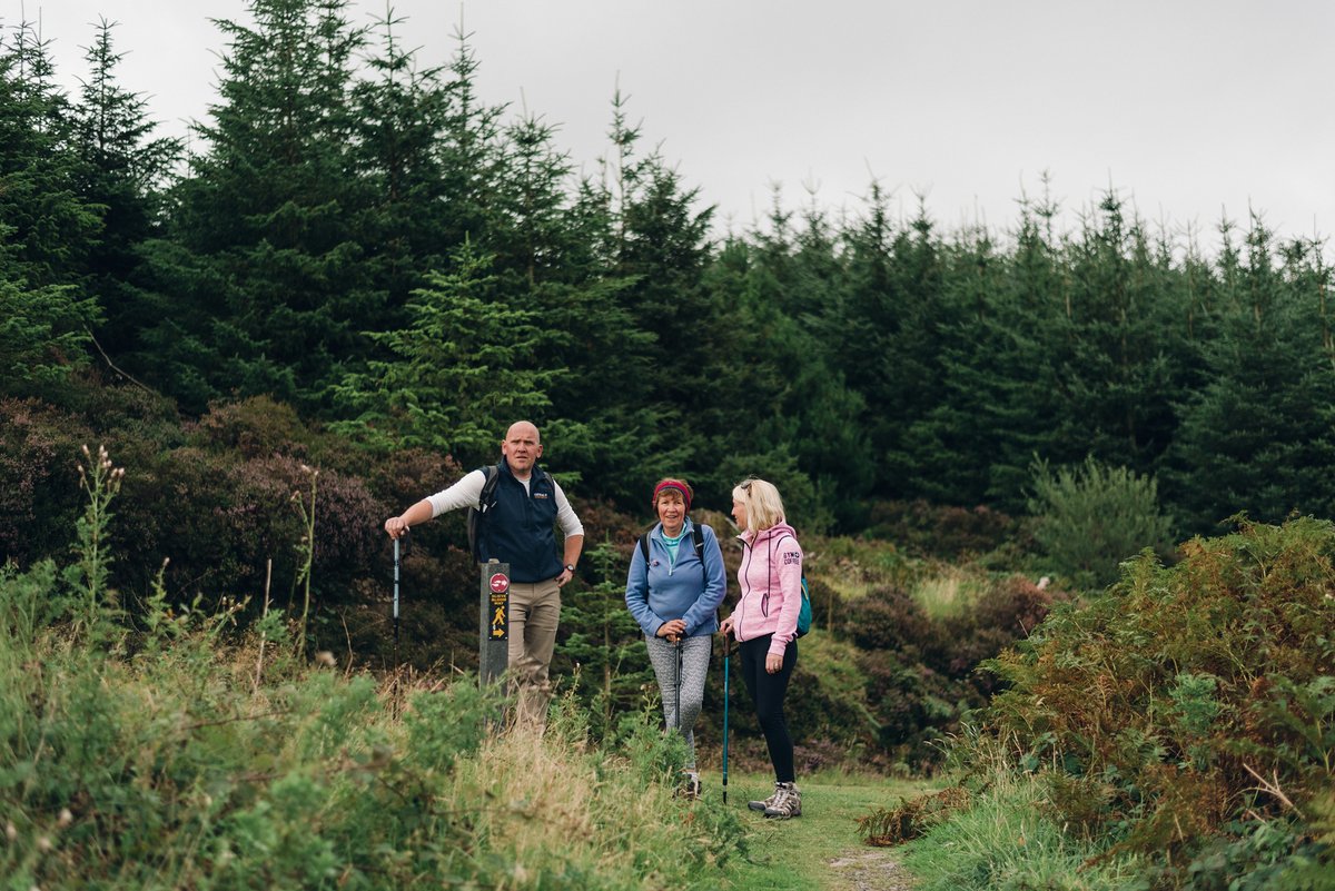 visitoffaly's tweet photo. The Slieve Blooms, along with the Massif Central in France, are the oldest mountains in Europe. Unspoilt & uncongested, they offer something for everyone!
Info https://t.co/XM2AKEZYY1
#VisitOffaly #SlieveBloomMountains #irelandshiddenheartlands @TourismIreland https://t.co/Ja8SR2J9bg