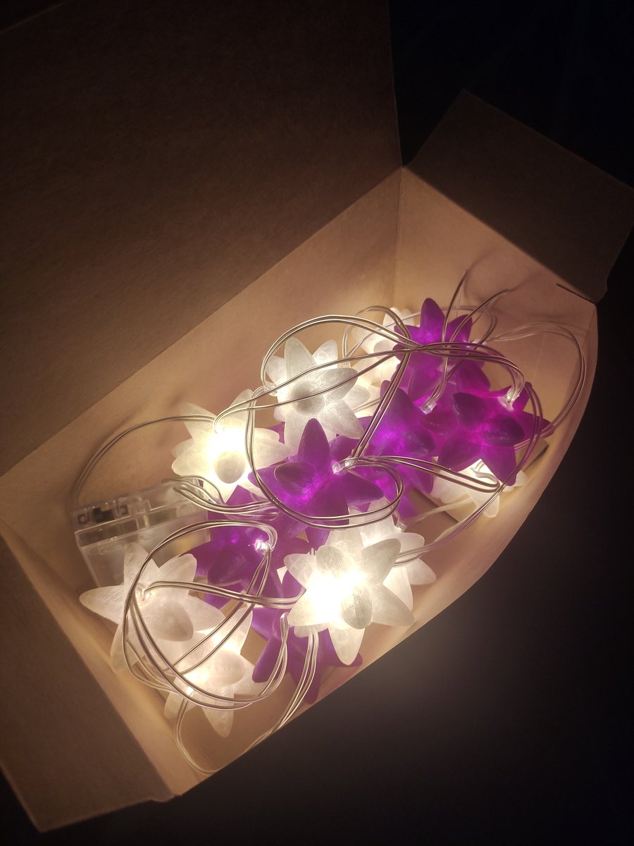 lymia.art tweet media